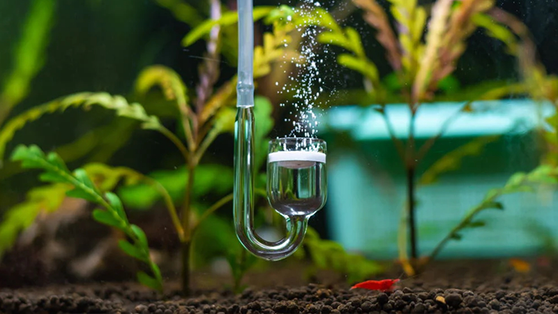 Best co2 diffuser clearance aquarium