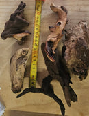 Mopani Wood