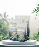 Animal Wellbeing - Axolotl Diet