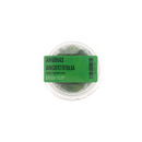 Anubias Angustifolia Tissue Culture (Aquascaping Essentials)