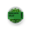 Anubias Barteri 'Coin Leaf' Tissue Culture (Aquascaping Essentials)