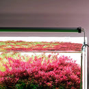 Chihiros B Series LED Aquarium Lighting