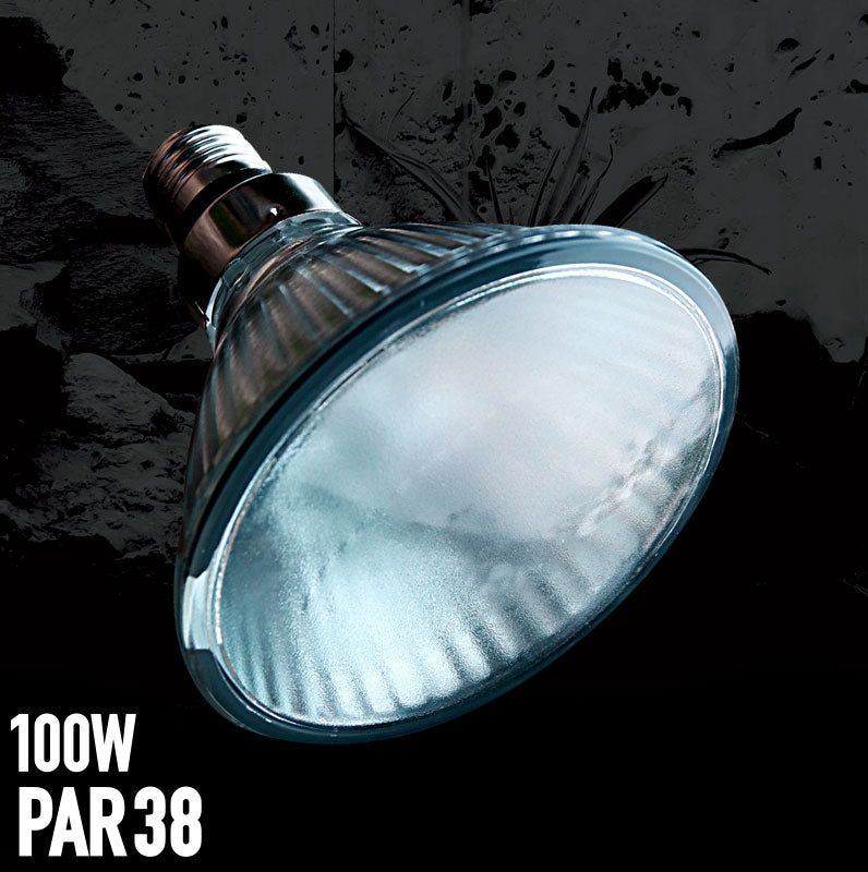 Arcadia Halogen Basking Spot Lamp - Fishly
