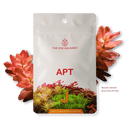 APT Jazz (Root Tablets)