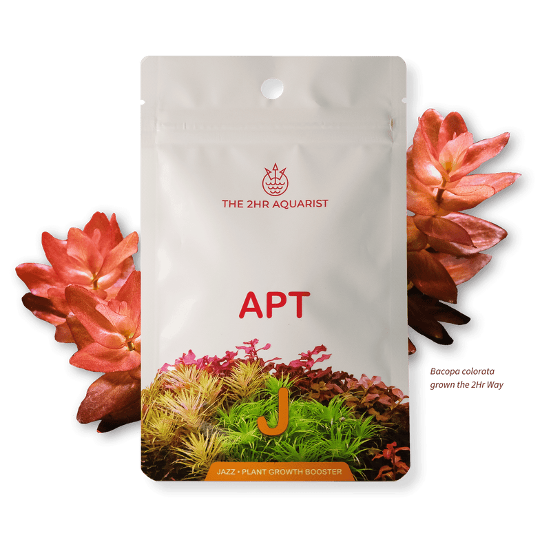 APT Jazz (Root Tablets)