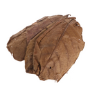 Fishly Catappa Leaves - Fishly
