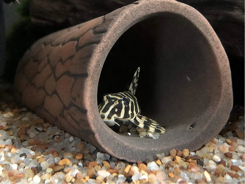Pleco Ceramics Natural Pleco Cave - Fishly