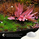 APT Sky (Replenish Minerals)