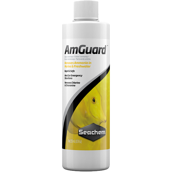 Seachem AmGuard - Ammonia Detoxifier - Fishly
