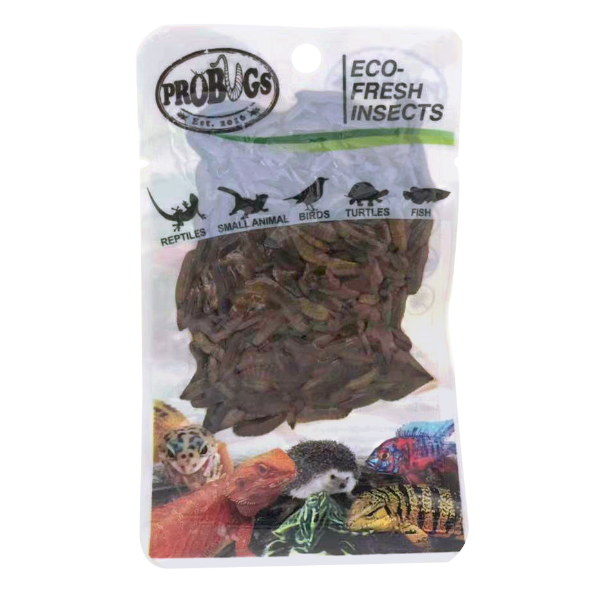 Pro Bugs Black Soldier Fly Larvae - Fishly