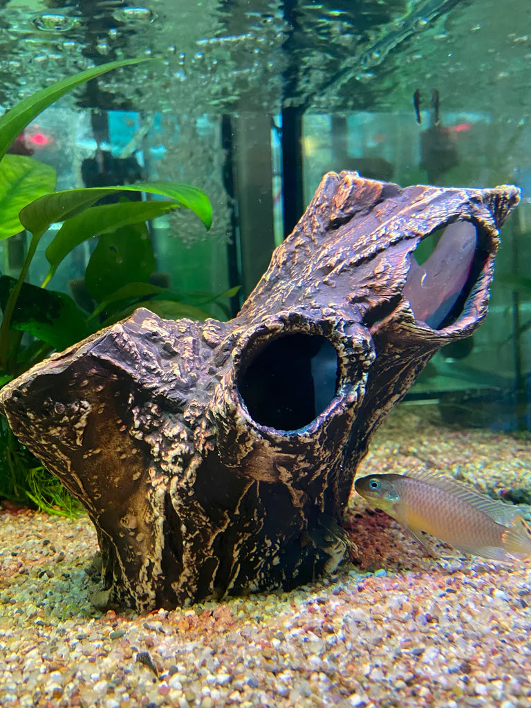 Pleco Ceramics Tree Trunk - Fishly