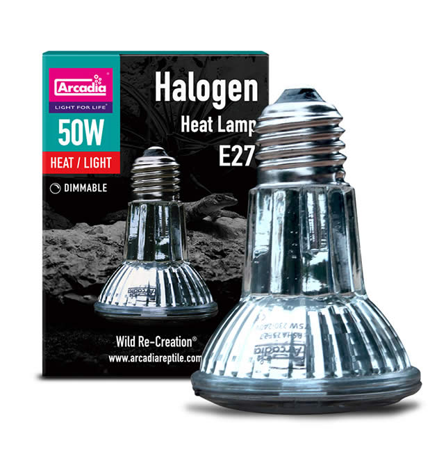 Arcadia Halogen Basking Spot Lamp - Fishly