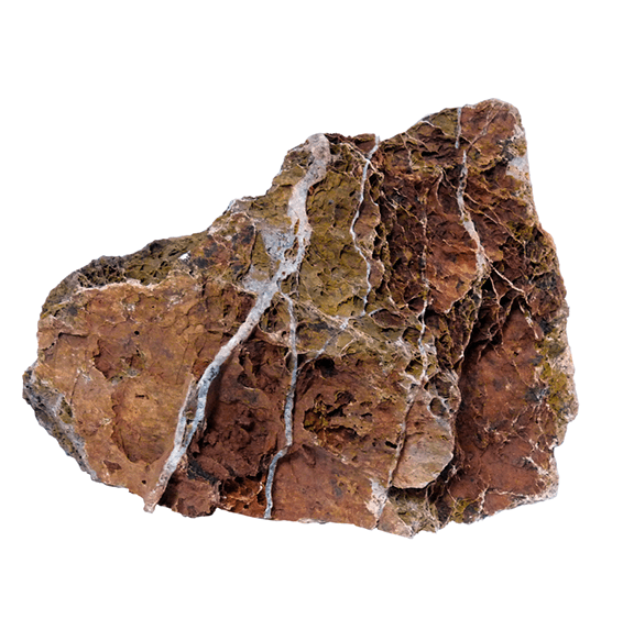 Maple Leaf Rock - Fishly