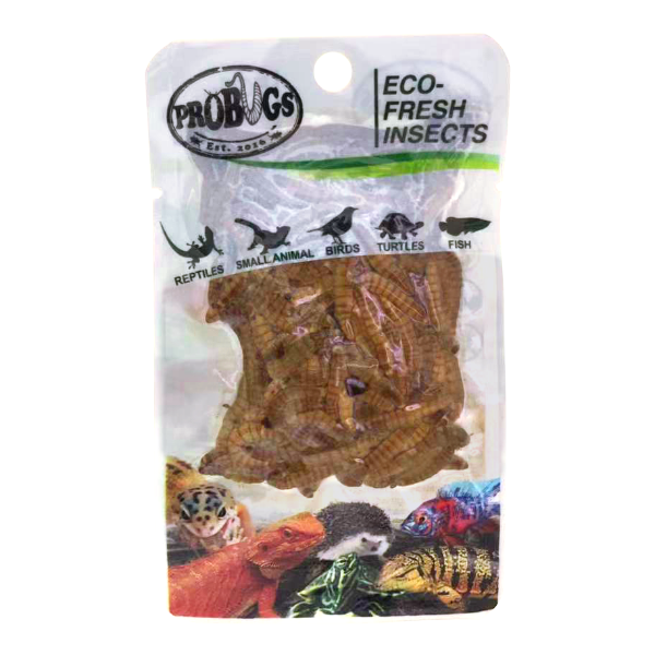 Pro Bugs Mealworms - Fishly