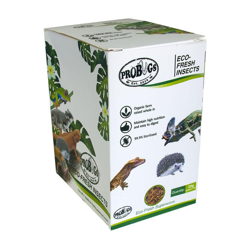 Pro Bugs Superworms - Fishly