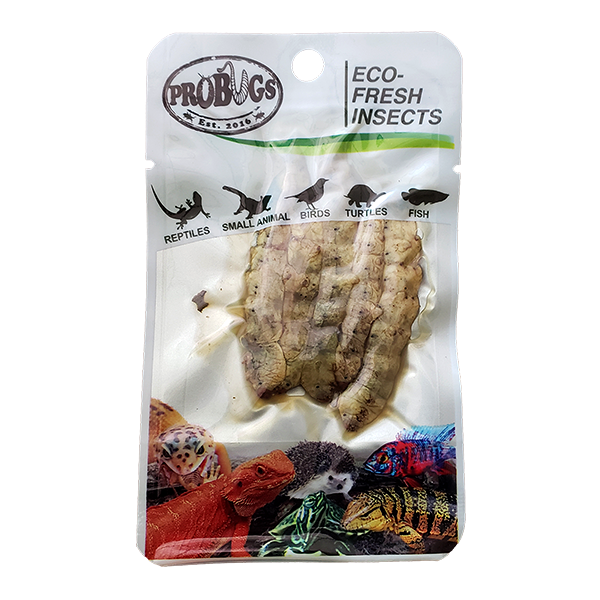 Pro Bugs Silkworms - Fishly
