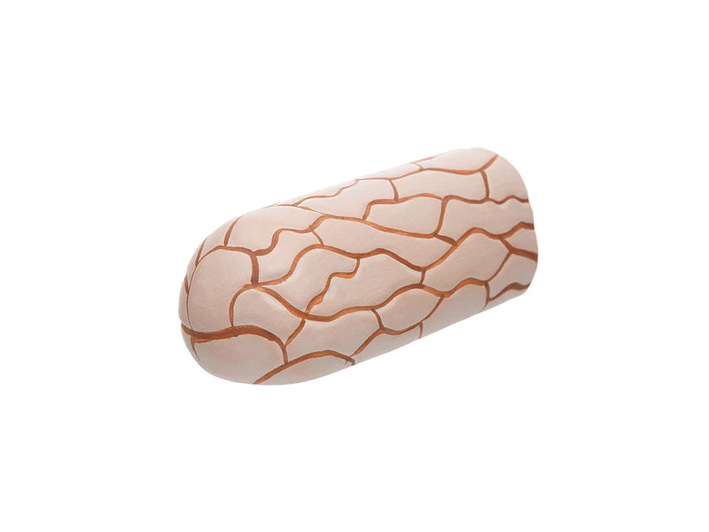 Pleco Ceramics Camel Pleco Cave - Fishly