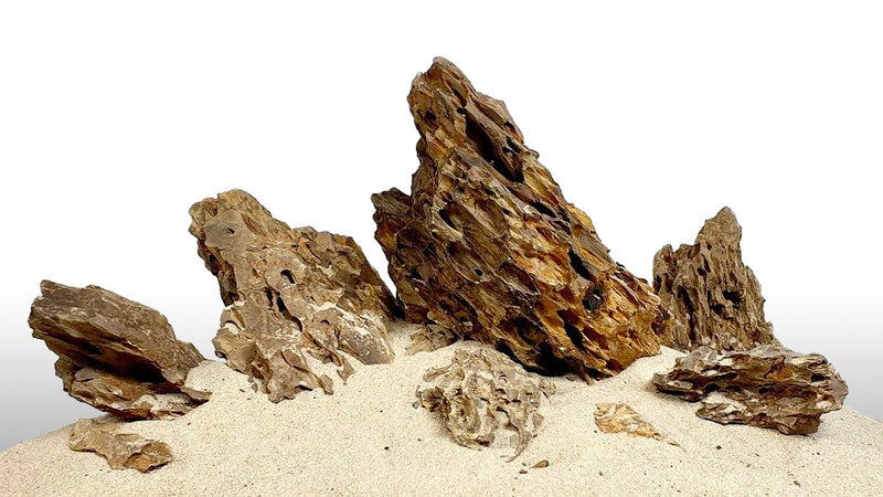 Dragon Stone - Fishly