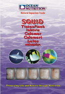 Ocean Nutrition Frozen Squid - Fishly