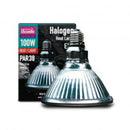 Arcadia Halogen Basking Spot Lamp - Fishly