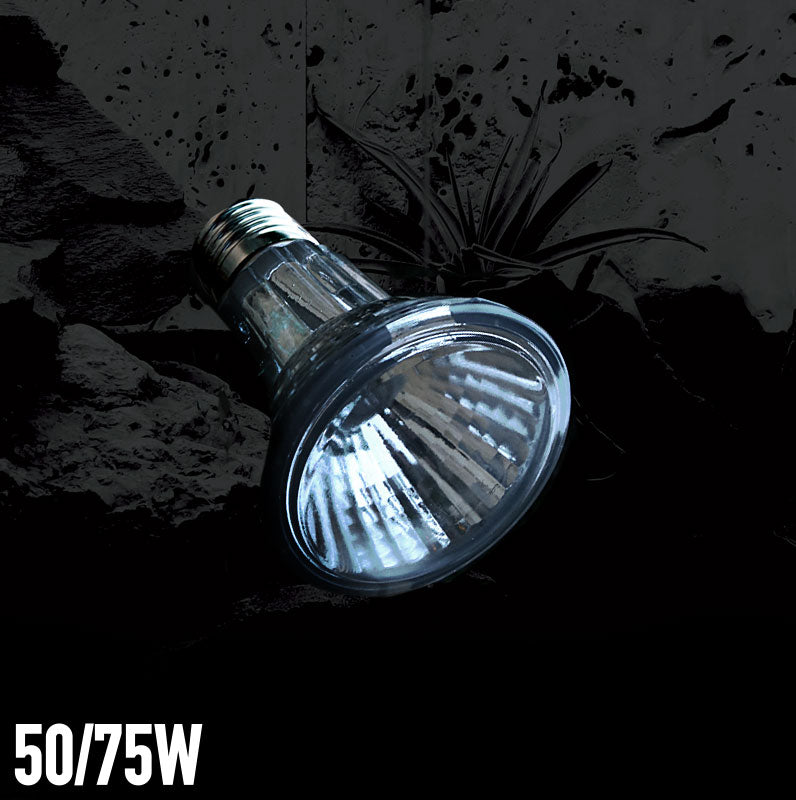 Arcadia Halogen Basking Spot Lamp - Fishly