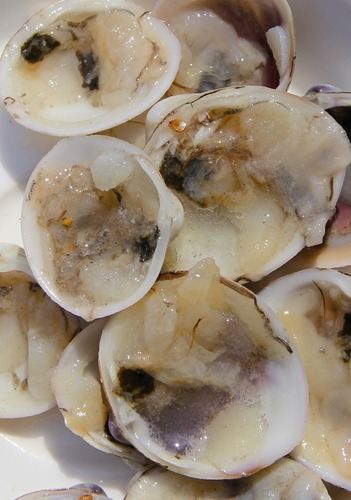 Ocean Nutrition Frozen Clams on Half Shell - Fishly