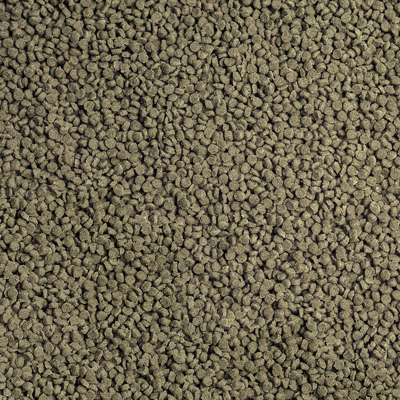 Sera Granugreen - Cichlid Veggie Pellets - Fishly