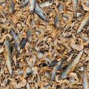 Sera Raffy Royal - Fishly