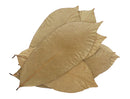 Soursop Leaves