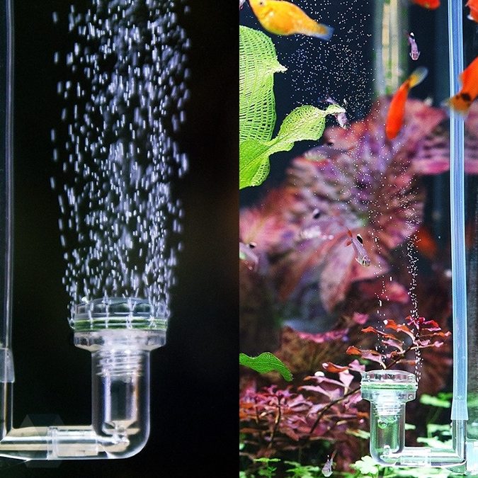 Ziss Air/CO2 Diffuser - Fishly